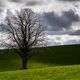 Wolken & Licht