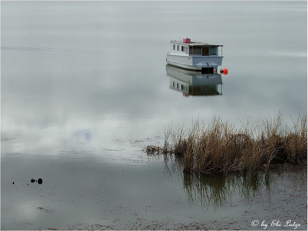 * dead calm on lake alexandrina *