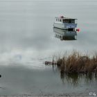 * dead calm on lake alexandrina *