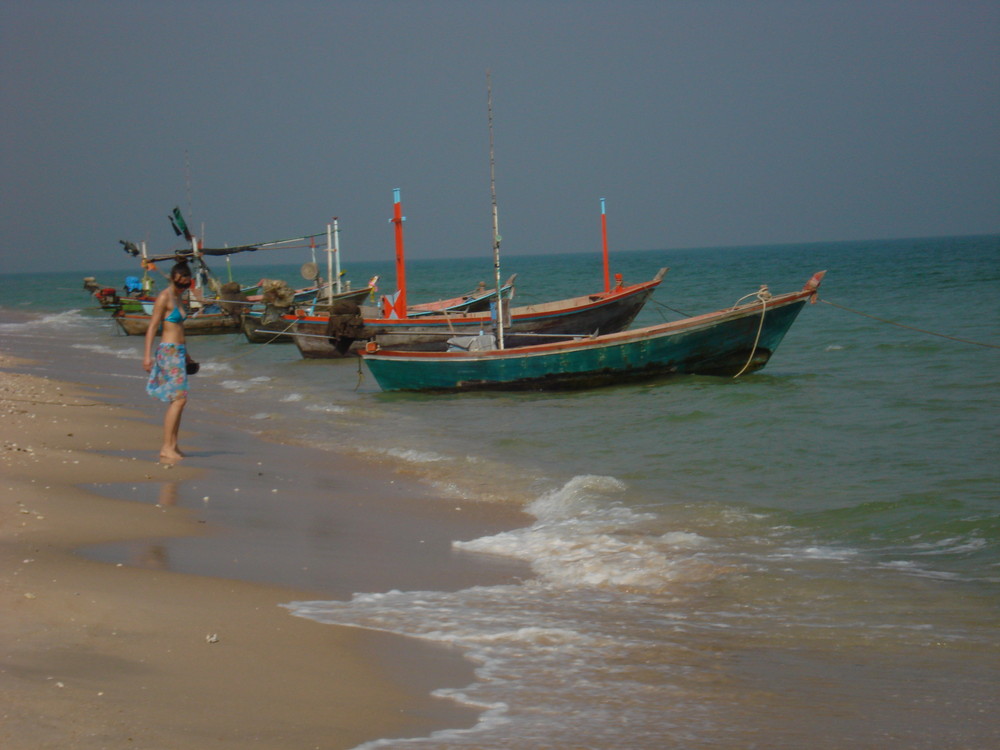 dead fishes and boats