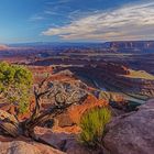 ~ Dead Horse Point ~