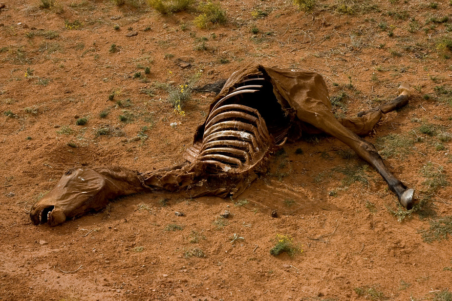 Dead Horse Point