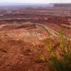 Dead Horse Point