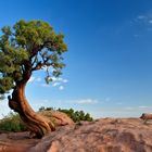 Dead Horse Point State Park