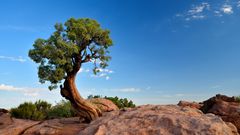 Dead Horse Point State Park