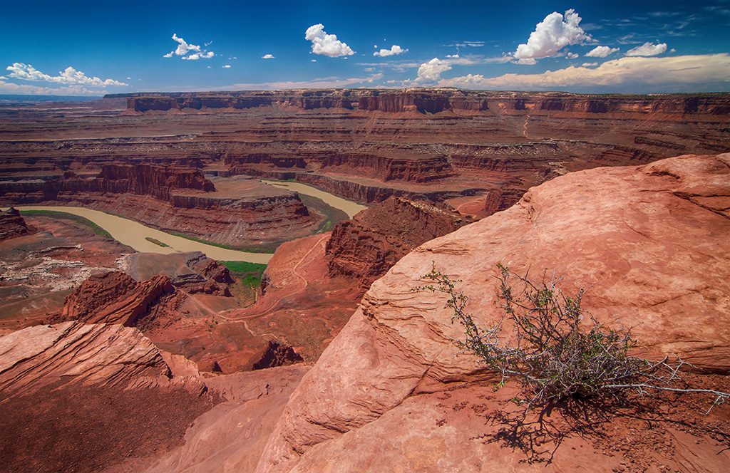 Dead Horse Point State Park