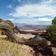 Dead Horse Point, Utah, USA