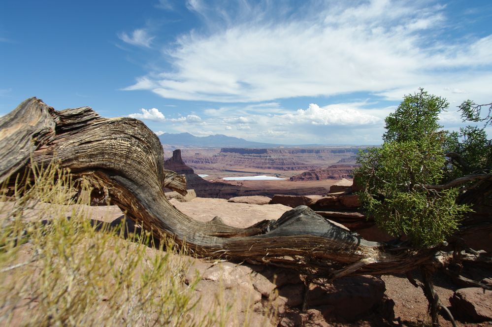 Dead Horse Point, Utah, USA von Petra Birkenfeld 