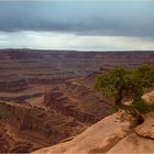 Dead Horse State Park