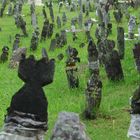 Dead people in Borneo at rest