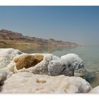 dead sea