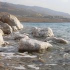 dead sea