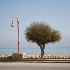 Dead Sea, Israel