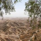 Dead Sea View in der Wüste Negev