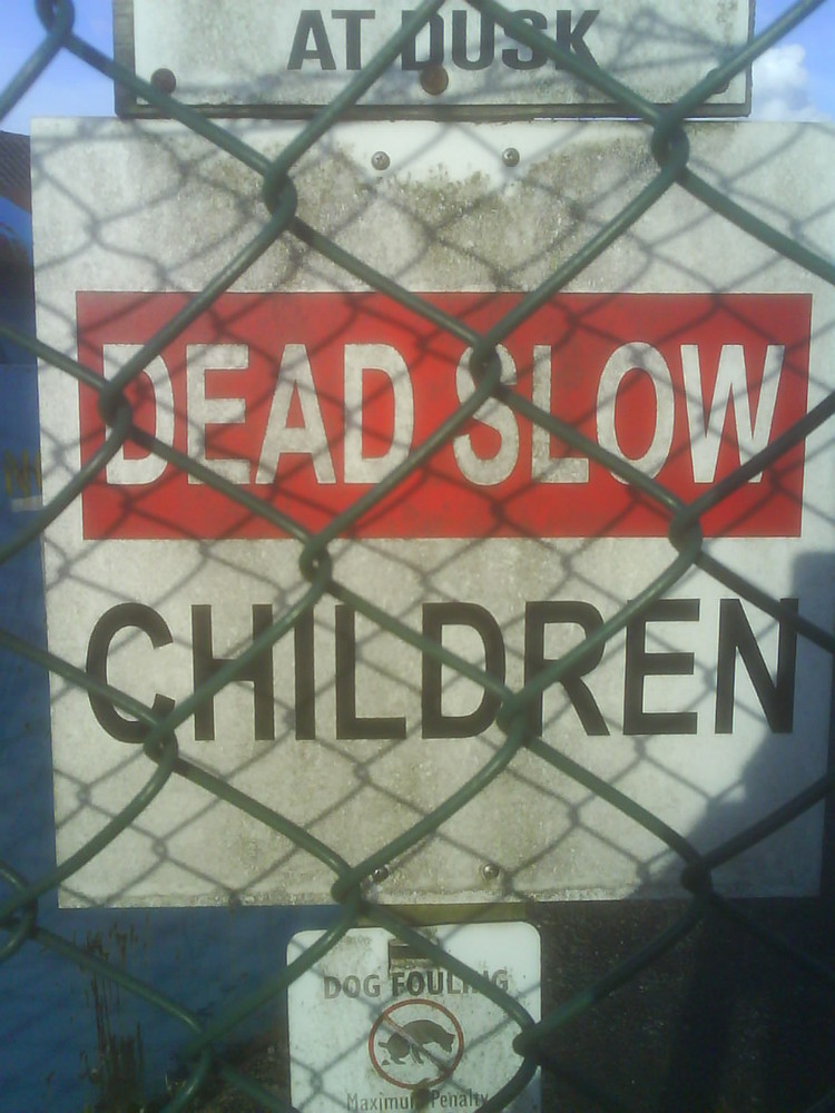 Dead Slow Children Behind a Chain Fence?