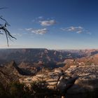 Dead Tree Deep (5f-Pano)