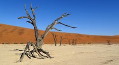 dead valley, namibia