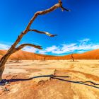 Dead Vlei 002