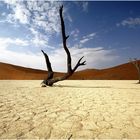 Dead Vlei (01)