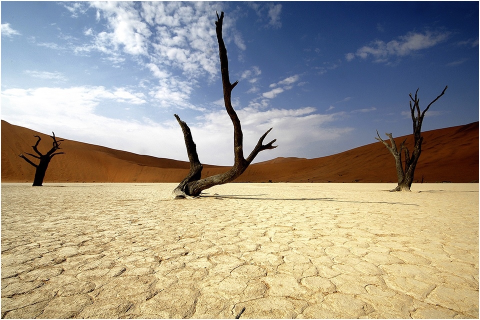 Dead Vlei (01)