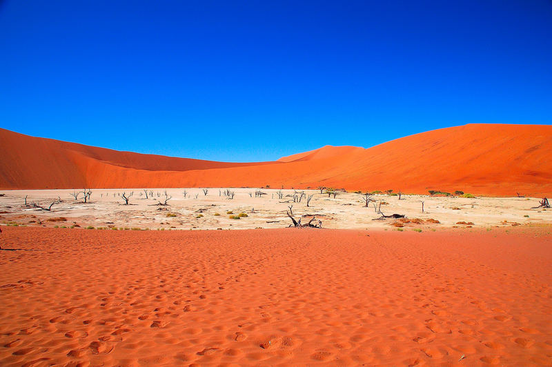 Dead Vlei