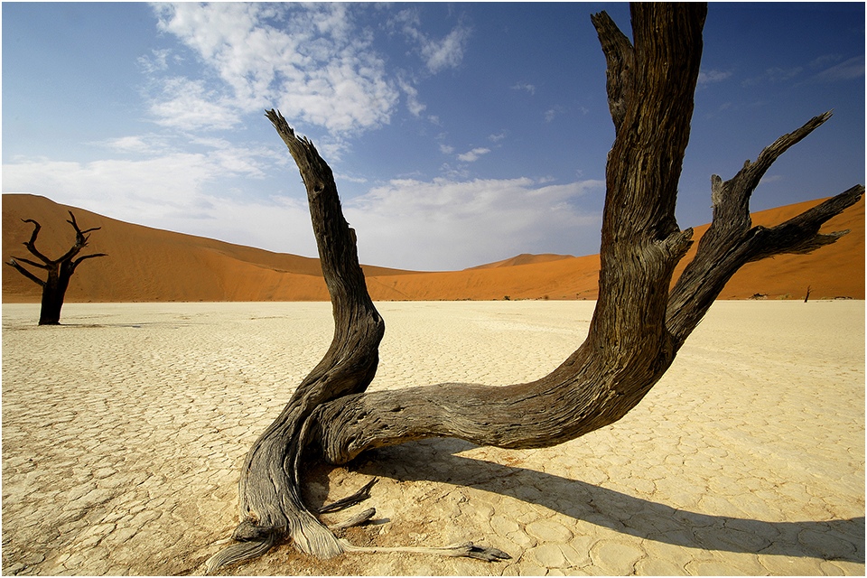 Dead Vlei (02)