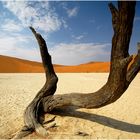 Dead Vlei (02)