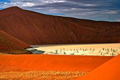 Dead Vlei