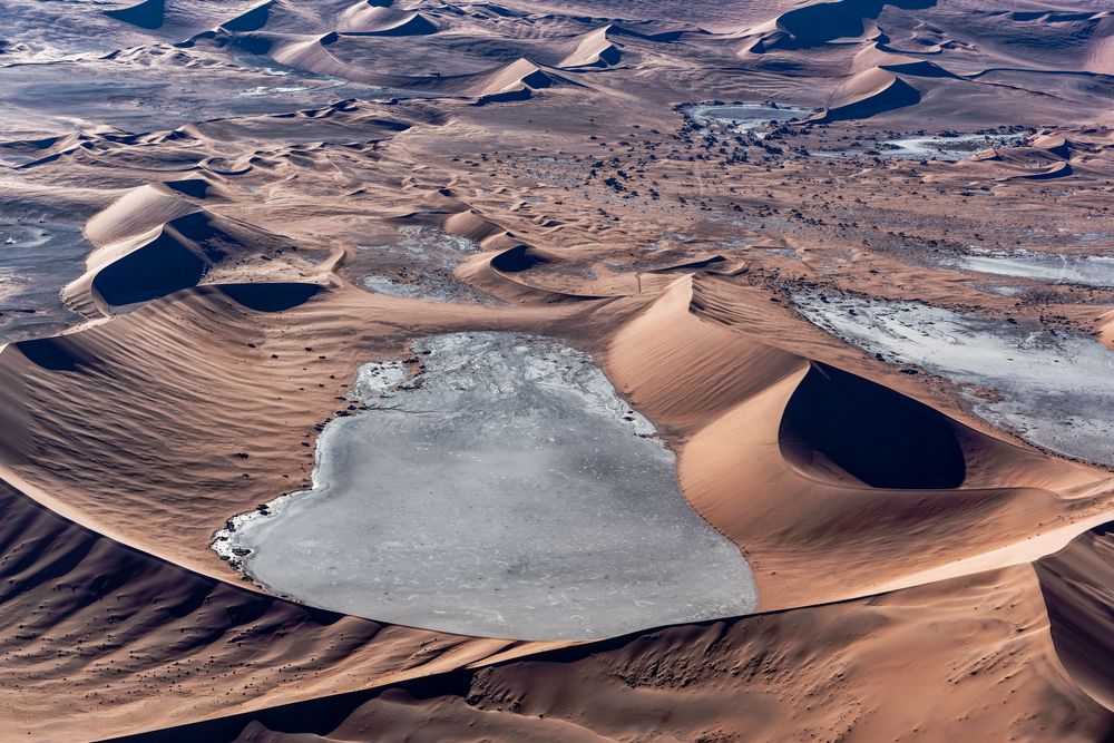 dead vlei