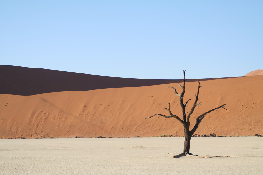 Dead Vlei