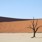 Dead Vlei