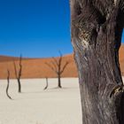 Dead Vlei