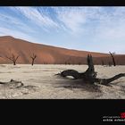 Dead Vlei