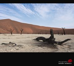 Dead Vlei