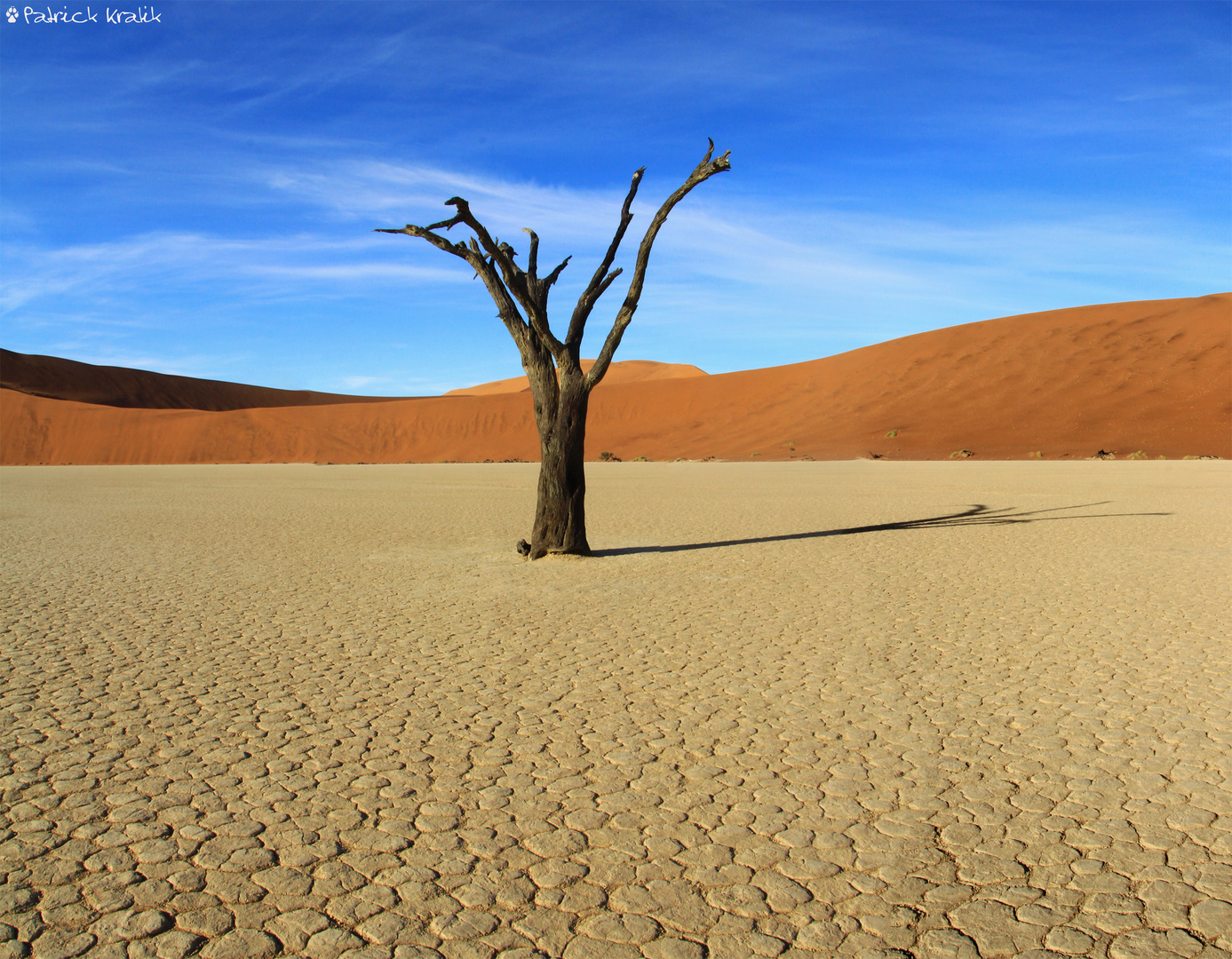 Dead Vlei...