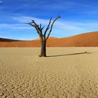 Dead Vlei...