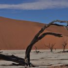 Dead Vlei