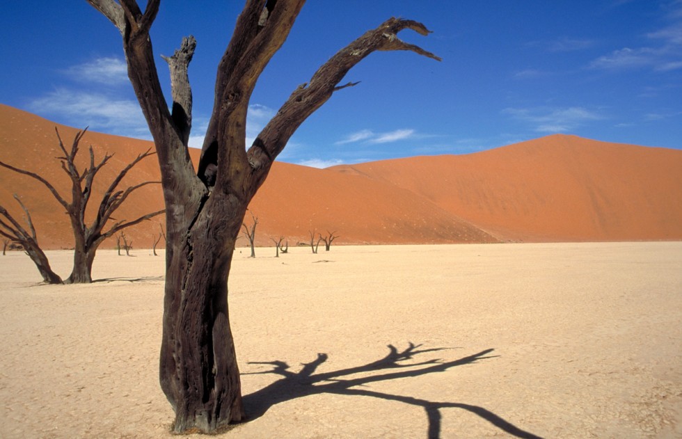 Dead Vlei 1