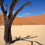 Dead Vlei 1