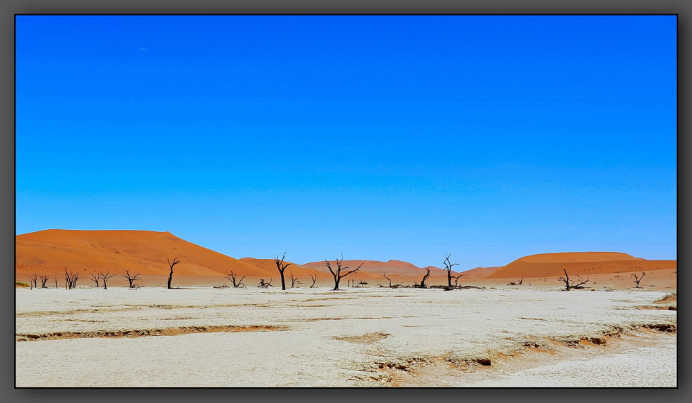 Dead Vlei 1