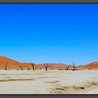 Dead Vlei 1