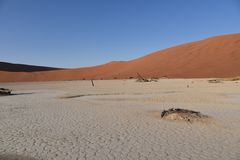 Dead Vlei 1