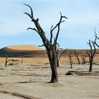 Dead Vlei # 1