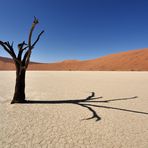 Dead Vlei - 1. Advent 2011