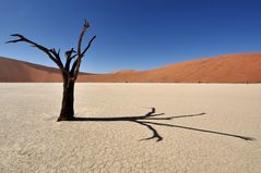 Dead Vlei - 1. Advent 2011