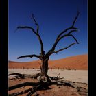 Dead Vlei 1