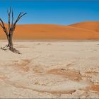 ...Dead Vlei #1