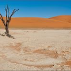 ...Dead Vlei #1