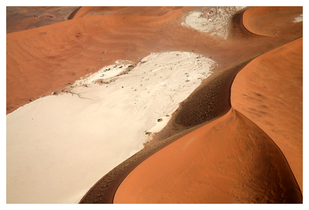 Dead Vlei #1