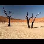 Dead Vlei